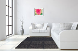 Mirrored Frame Pink Gerbera By Susan Bryant 22X26 Mirror Frame Print