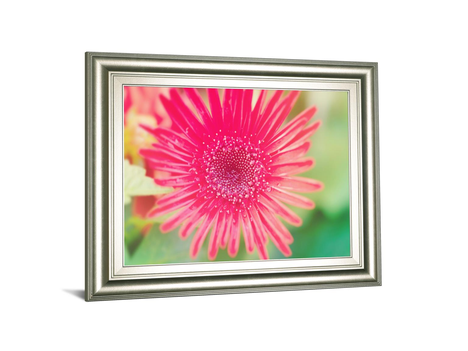 Pink Gerbera By Susan Bryant 22X26 Framed Print