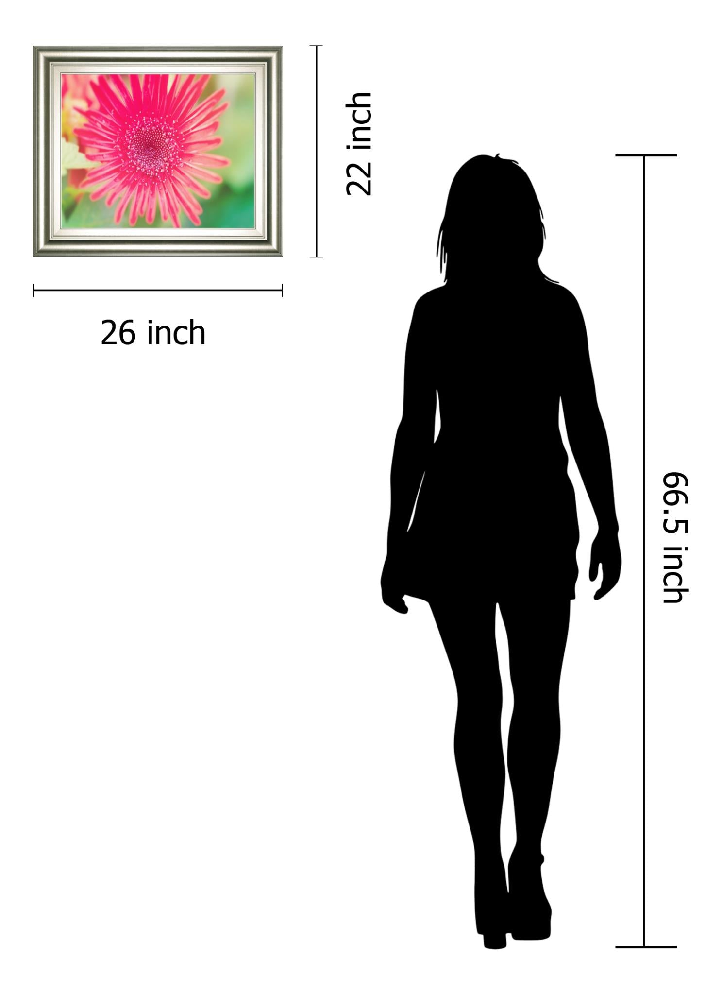 Pink Gerbera By Susan Bryant 22X26 Framed Print