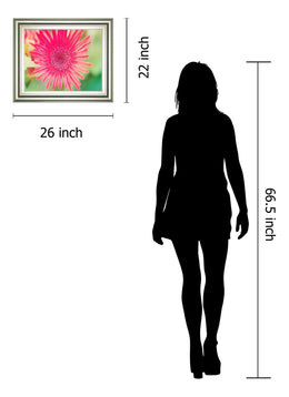 Pink Gerbera By Susan Bryant 22X26 Framed Print