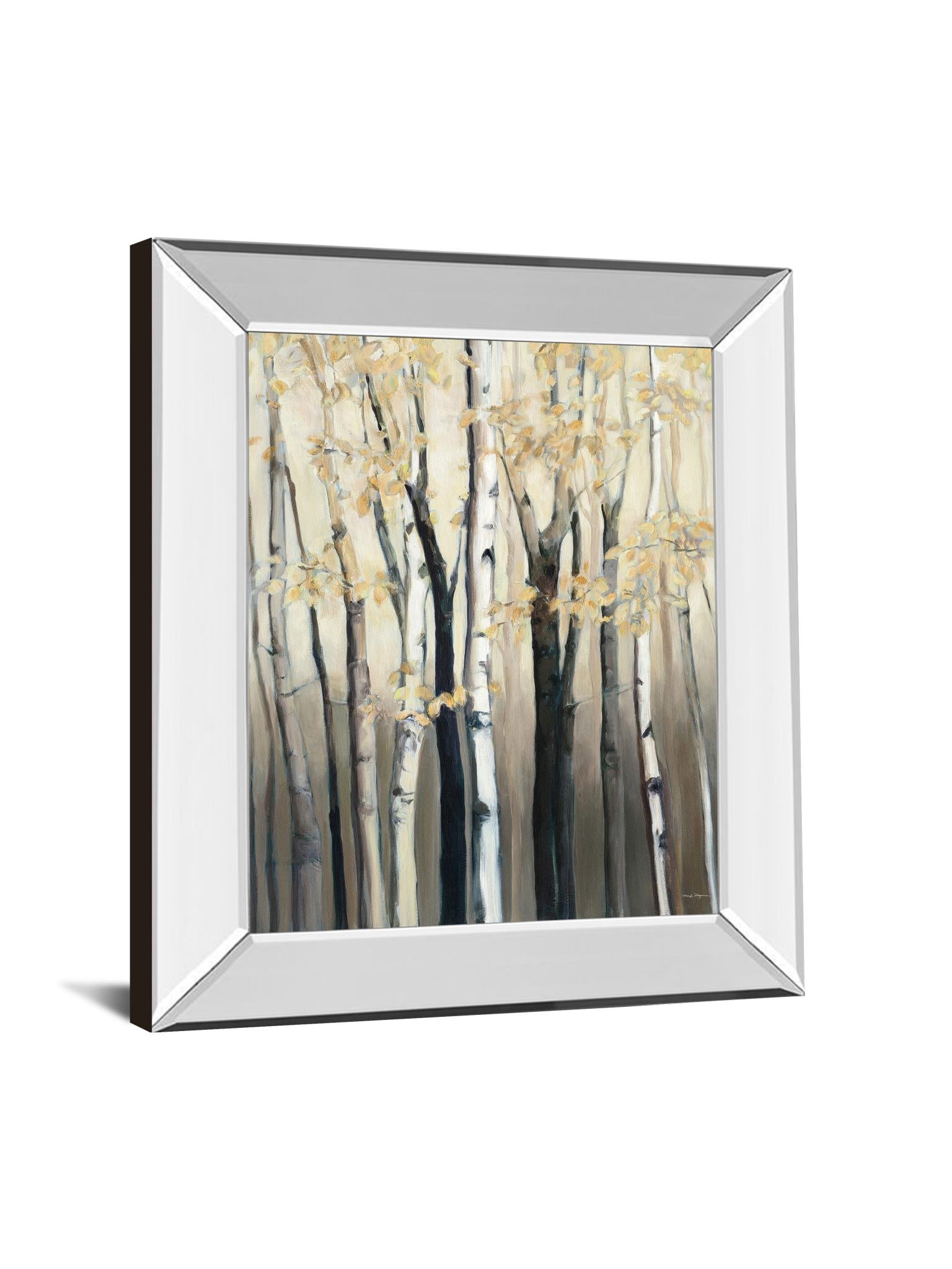Mirrored Frame Golden Birch I By Julia Purinton 22X26 Mirror Frame Print