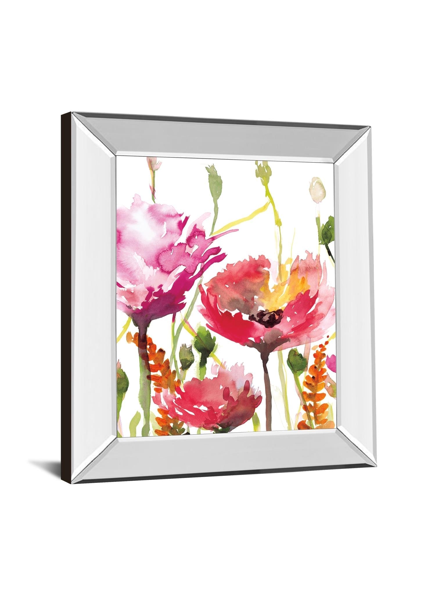 Mirrored Frame Blooms And Buds By Rebecca Meyers 22X26 Mirror Frame Print