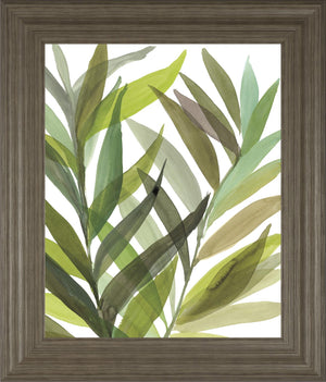 Tropical Greens I By Rebecca Meyers 22X26 Framed Print