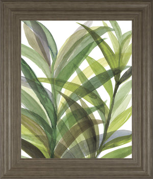 TropicalÂ  Greens Ii By Rebecca Meyers 22X26 Framed Print