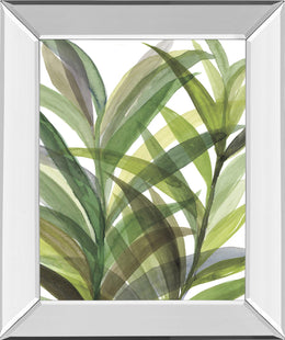 Mirrored Frame TropicalÂ  Greens Ii By Rebecca Meyers 22X26 Mirror Frame Print