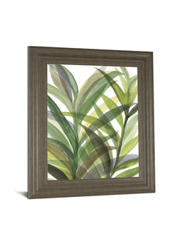 TropicalÂ  Greens Ii By Rebecca Meyers 22X26 Framed Print