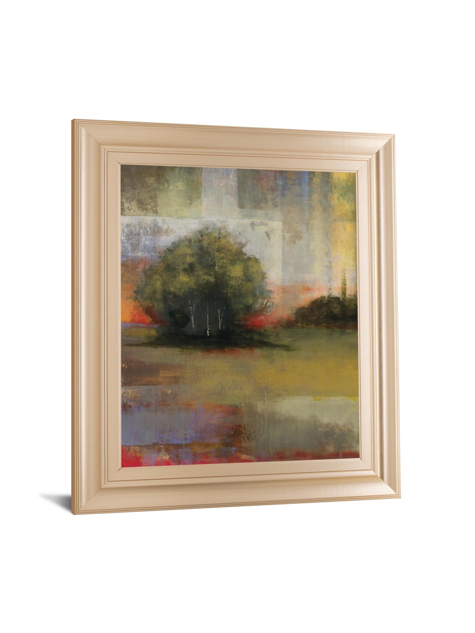 Radiance I By Williams 22X26 Framed Print