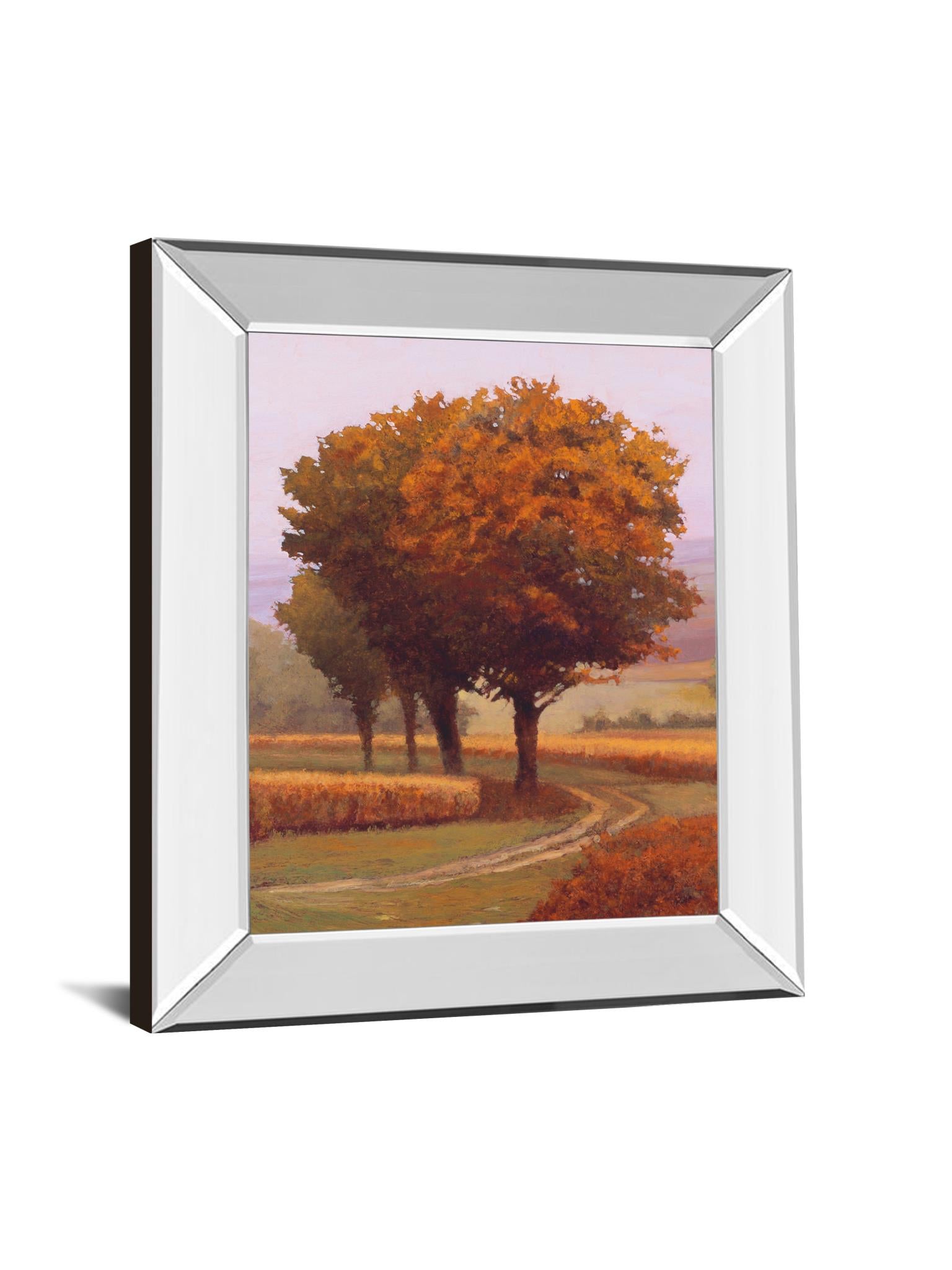 Mirrored Frame Charmony By Lovelace ***Monl*** 22X26 Mirror Frame Print