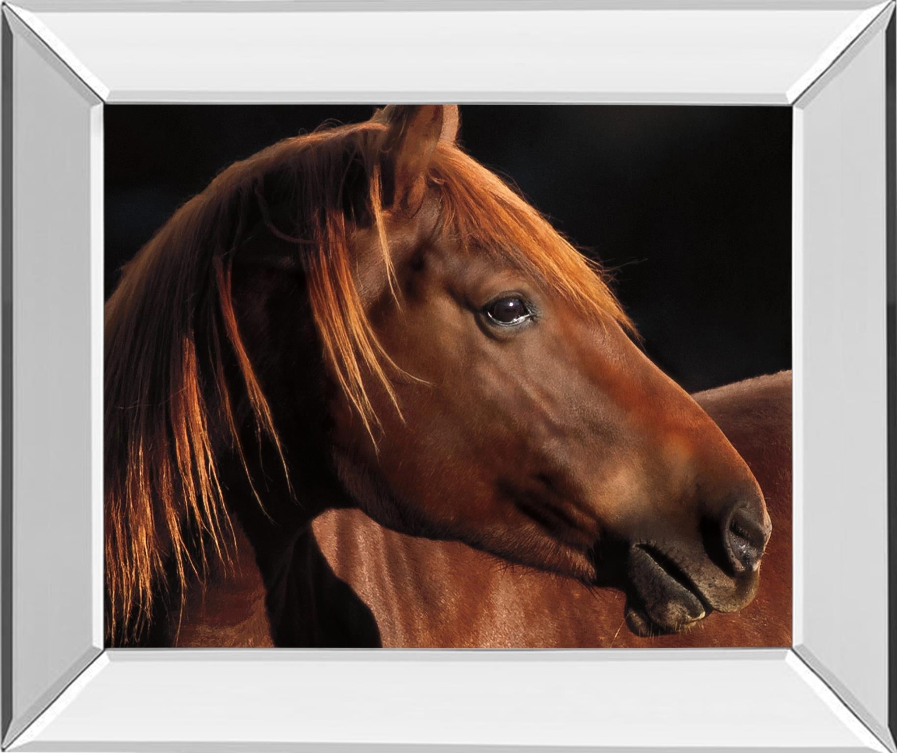 Mirrored Frame Pretty Girl By Caro 22X26 Mirror Frame Print