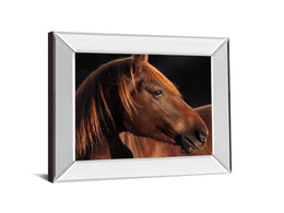 Mirrored Frame Pretty Girl By Caro 22X26 Mirror Frame Print