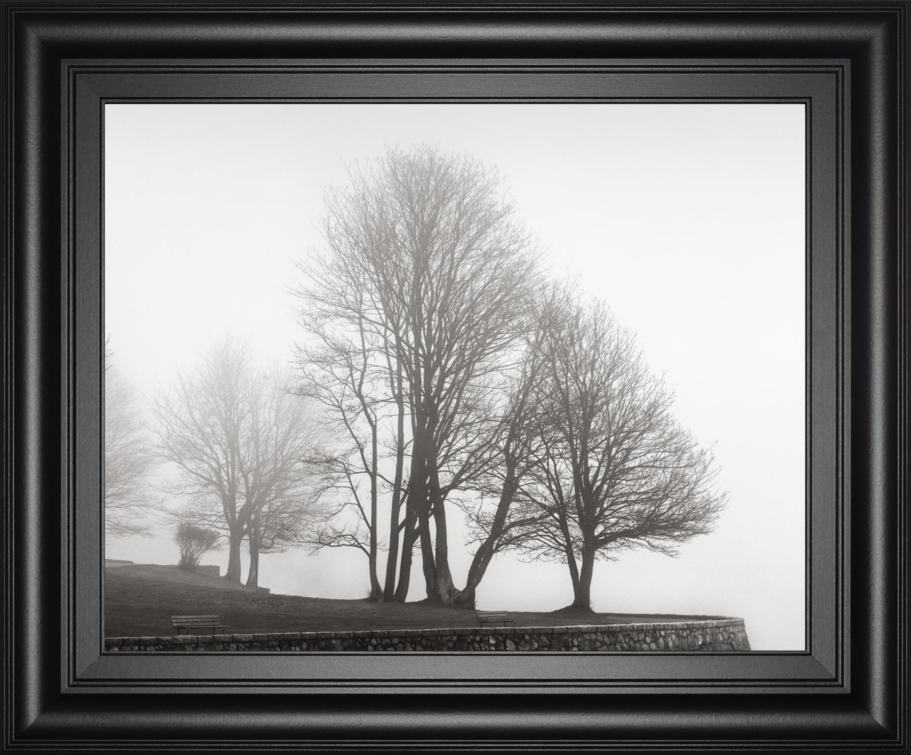 Fog And Trees At Dusk By Lsh 22X26 Framed Print