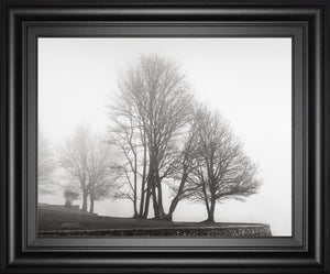 Fog And Trees At Dusk By Lsh 22X26 Framed Print