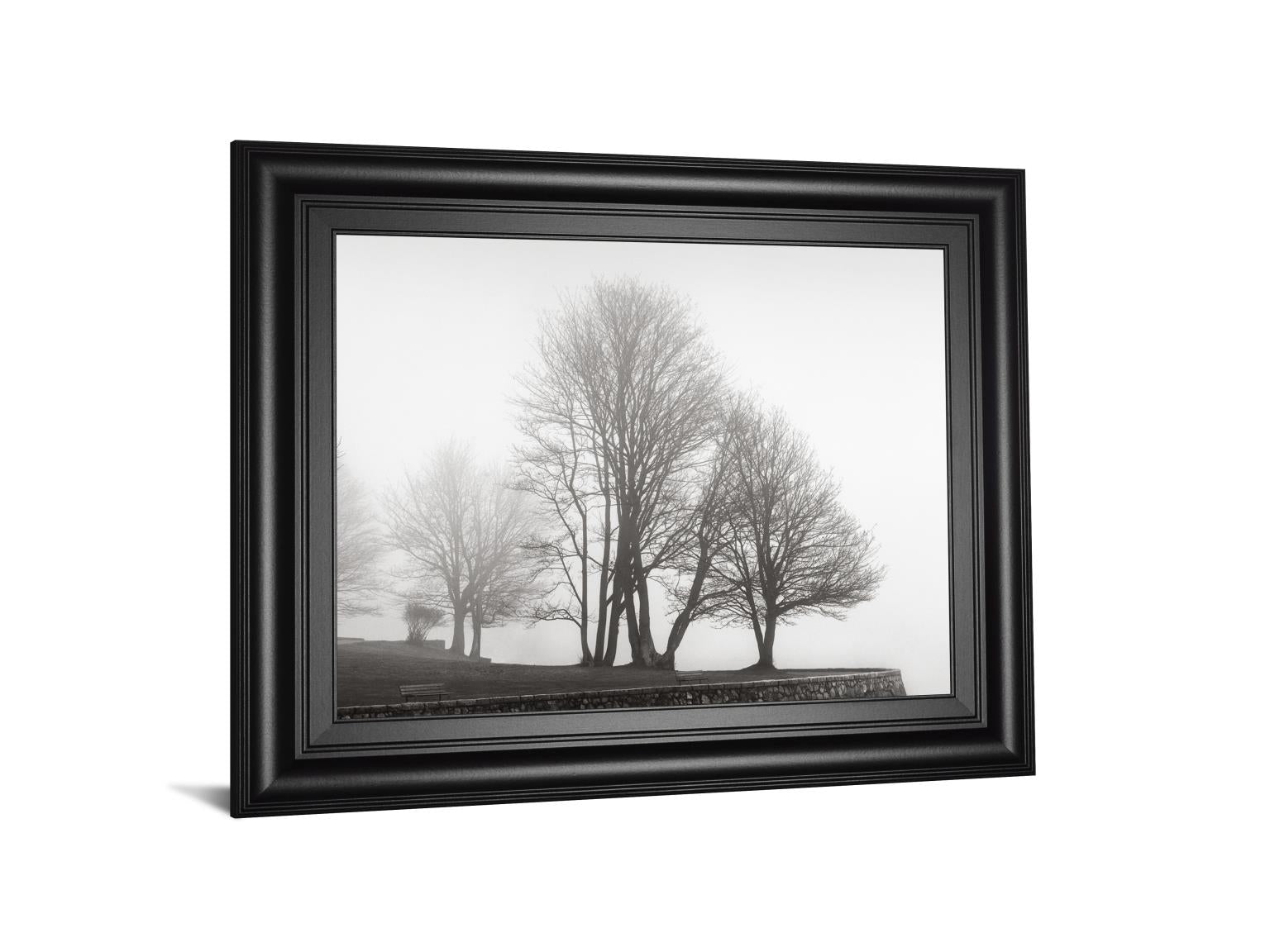 Fog And Trees At Dusk By Lsh 22X26 Framed Print