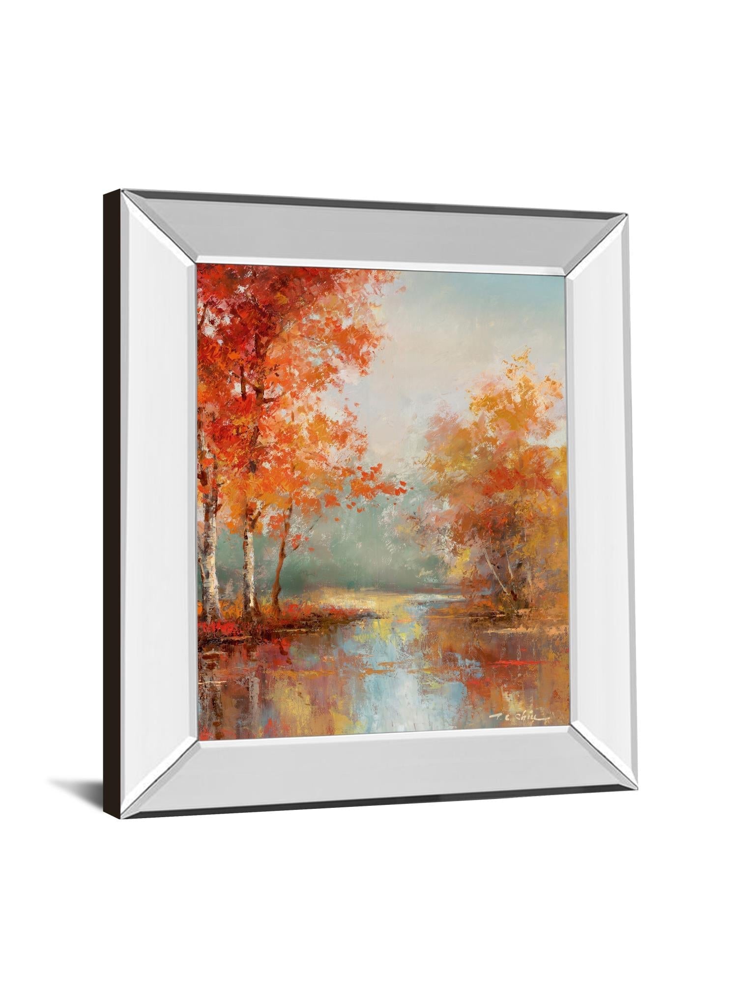 Mirrored Frame Autumns Grace I By T.C Chiu 22X26 Mirror Frame Print