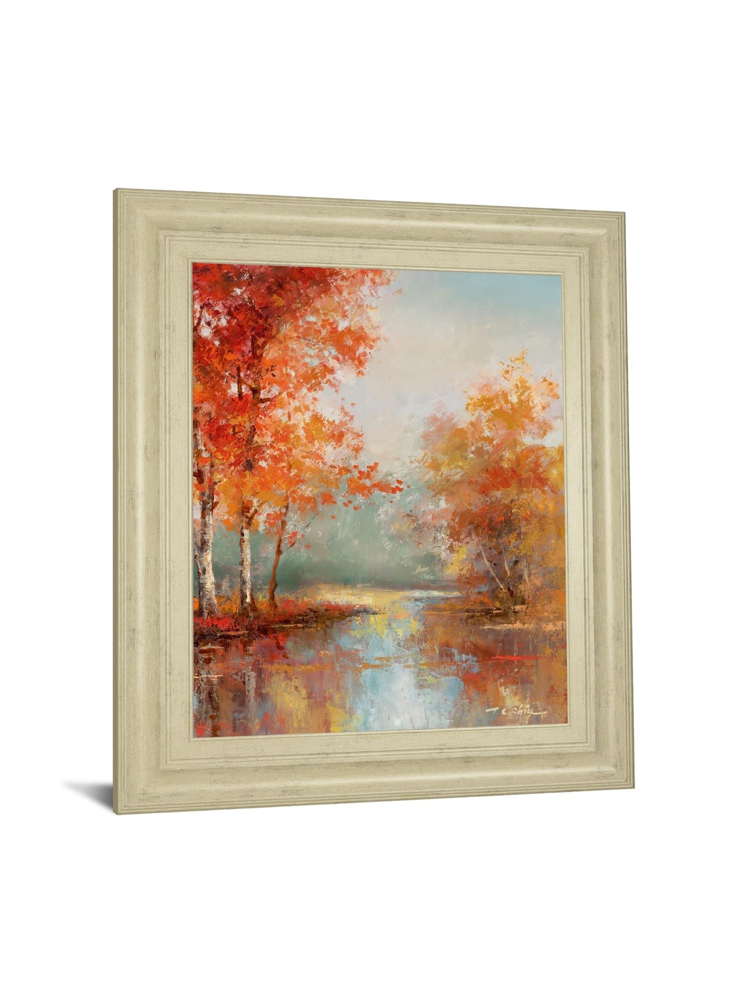 Autumns Grace I By T.C Chiu 22X26 Framed Print