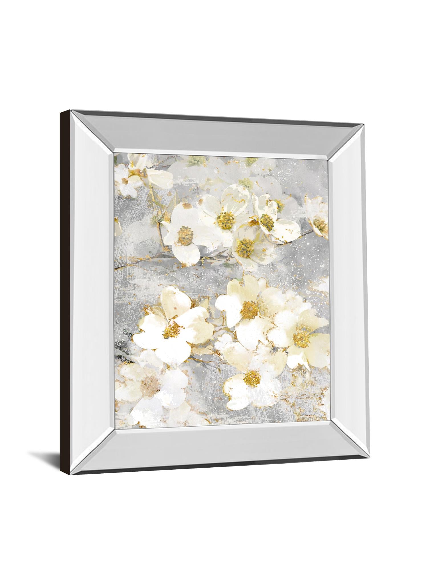 Mirrored Frame Not Just  A Pretty Face I By Nan 22X26 Mirror Frame Print