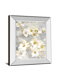 Mirrored Frame Not Just  A Pretty Face I By Nan 22X26 Mirror Frame Print