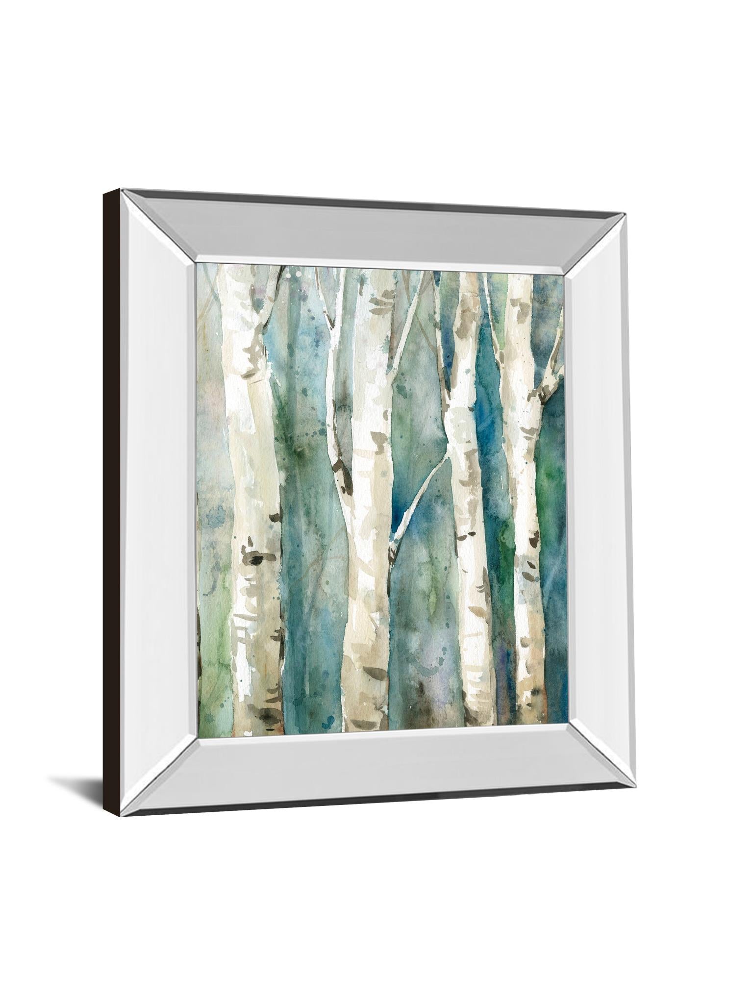 Mirrored Frame River Birch Ii By Carol Robinson 22X26 Mirror Frame Print
