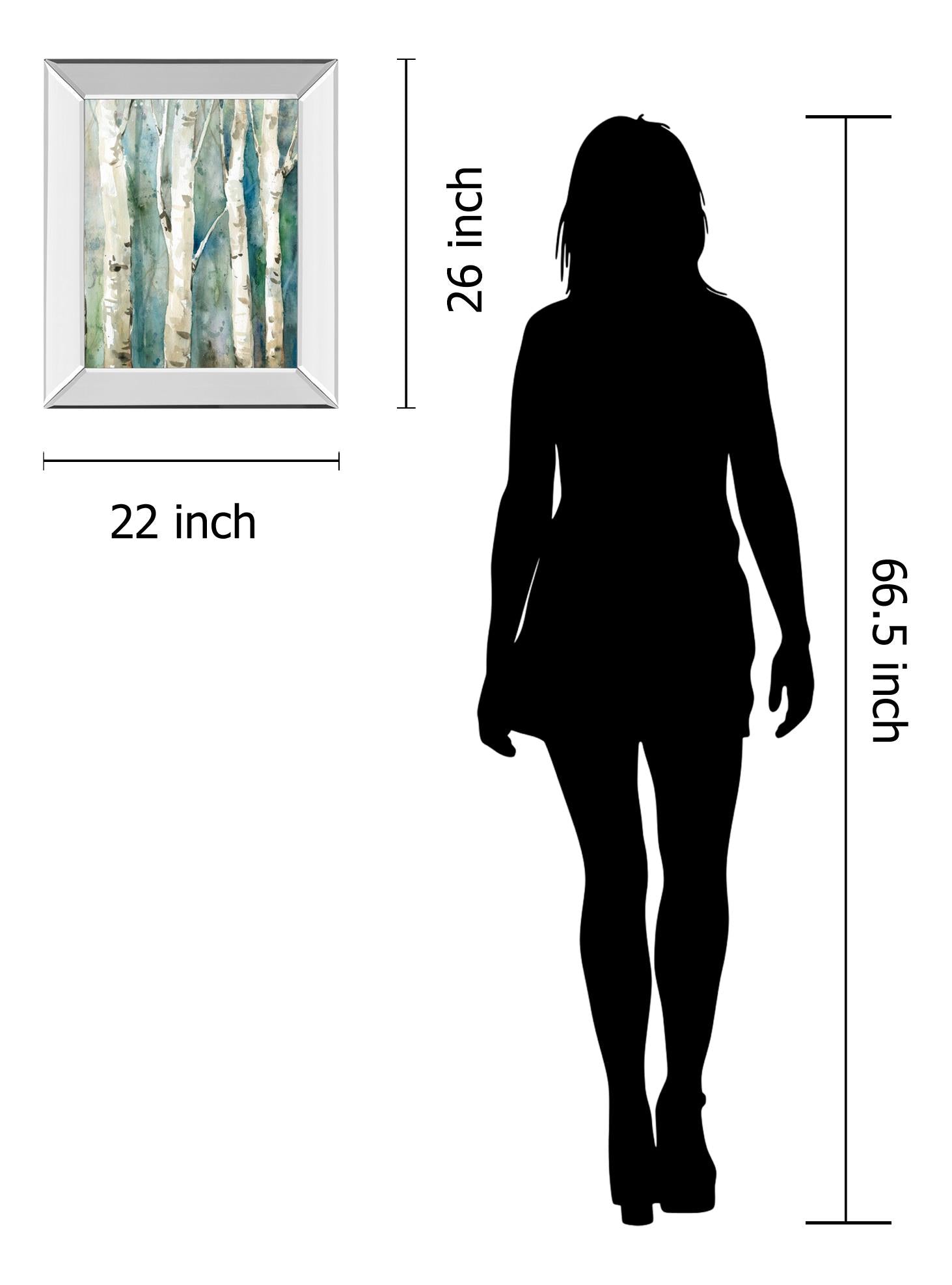 Mirrored Frame River Birch Ii By Carol Robinson 22X26 Mirror Frame Print