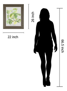 Ficus Carica By Katrien Soeffers 22X26 Framed Print