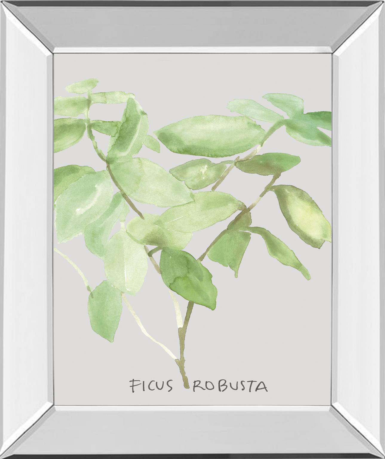 Mirrored Frame Ficus Robusta By Katrien Soeffers 22X26 Mirror Frame Print