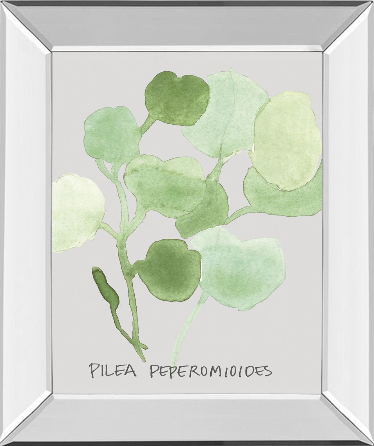 Mirrored Frame Pilea Peperomioides By Katrien Soeffers 22X26 Mirror Frame Print