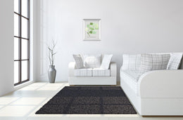 Mirrored Frame Pilea Peperomioides By Katrien Soeffers 22X26 Mirror Frame Print