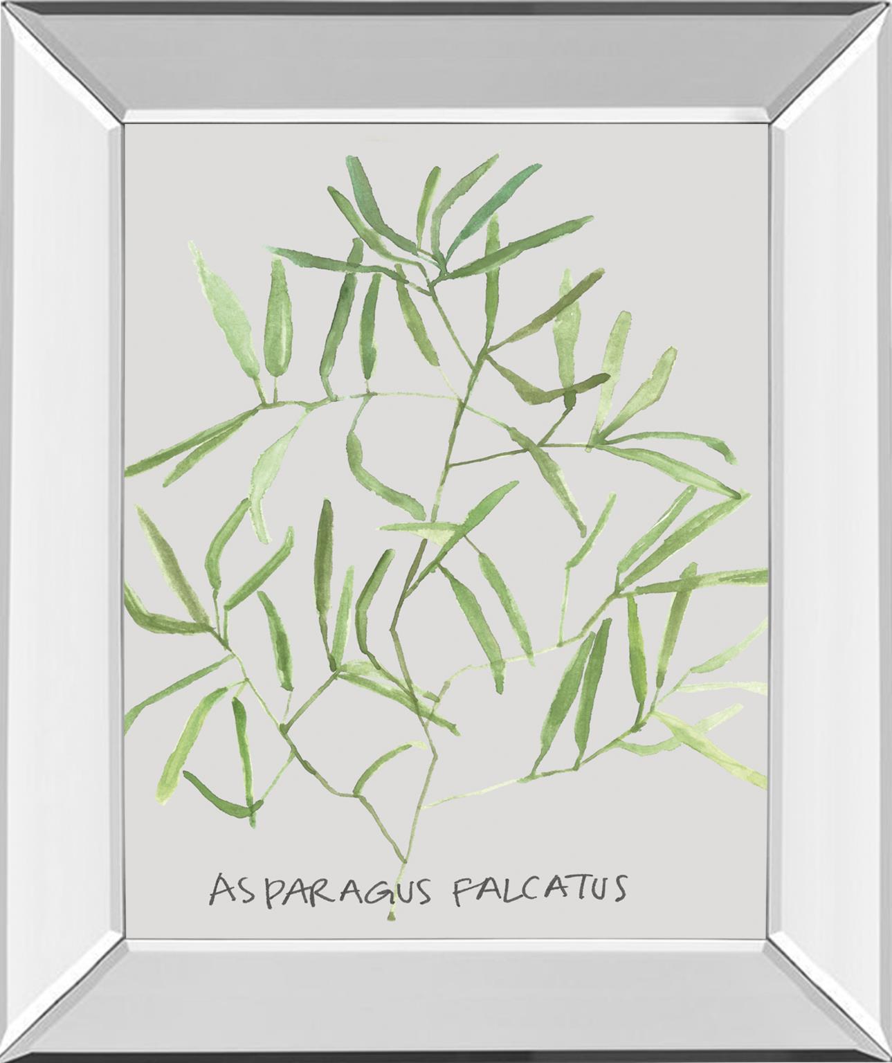 Mirrored Frame Asparogus Falcatus By Katrien Soeffers 22X26 Mirror Frame Print