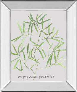 Mirrored Frame Asparogus Falcatus By Katrien Soeffers 22X26 Mirror Frame Print