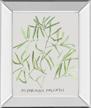 Mirrored Frame Asparogus Falcatus By Katrien Soeffers 22X26 Mirror Frame Print
