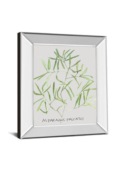 Mirrored Frame Asparogus Falcatus By Katrien Soeffers 22X26 Mirror Frame Print