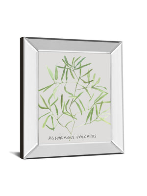 Mirrored Frame Asparogus Falcatus By Katrien Soeffers 22X26 Mirror Frame Print
