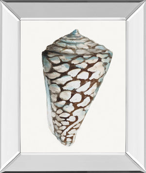 Mirrored Frame Modern Shell With Teal Ii By Patricia Pinto 22X26 Mirror Frame Print