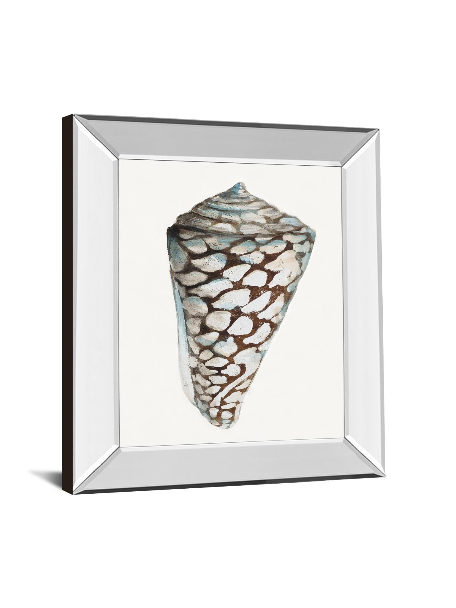 Mirrored Frame Modern Shell With Teal Ii By Patricia Pinto 22X26 Mirror Frame Print
