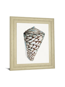 Modern Shell With Teal Ii By Patricia Pinto 22X26 Framed Print