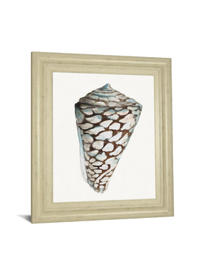 Modern Shell With Teal Ii By Patricia Pinto 22X26 Framed Print