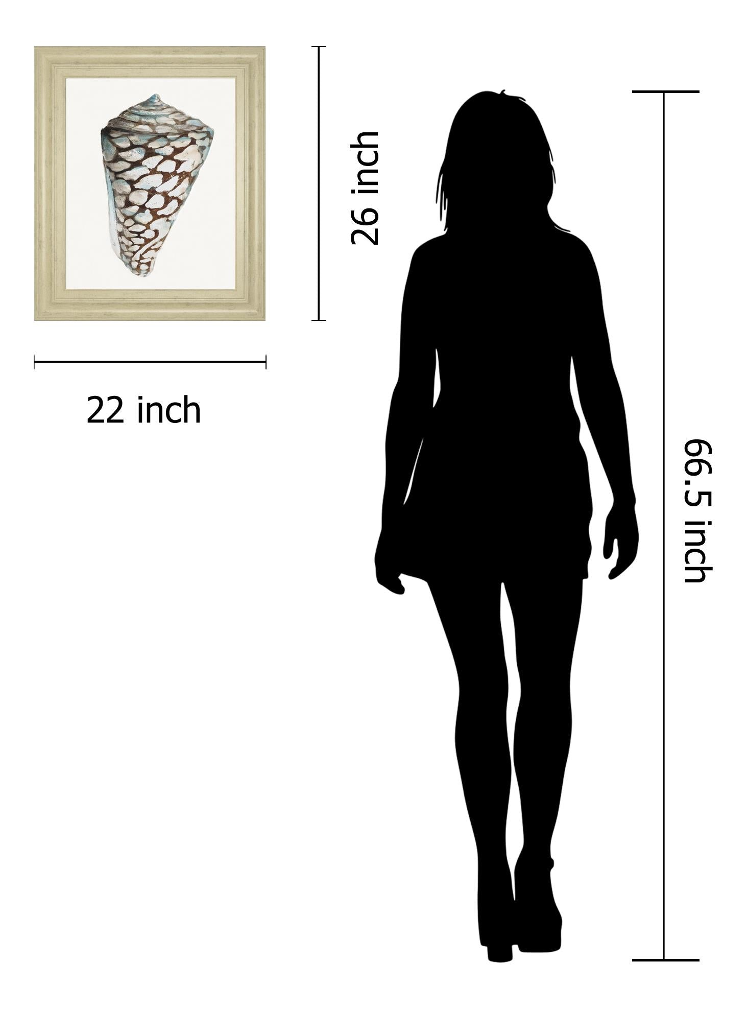 Modern Shell With Teal Ii By Patricia Pinto 22X26 Framed Print