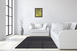 Tropical Leaf Ii By Patricia Pinto 22X26 Framed Print