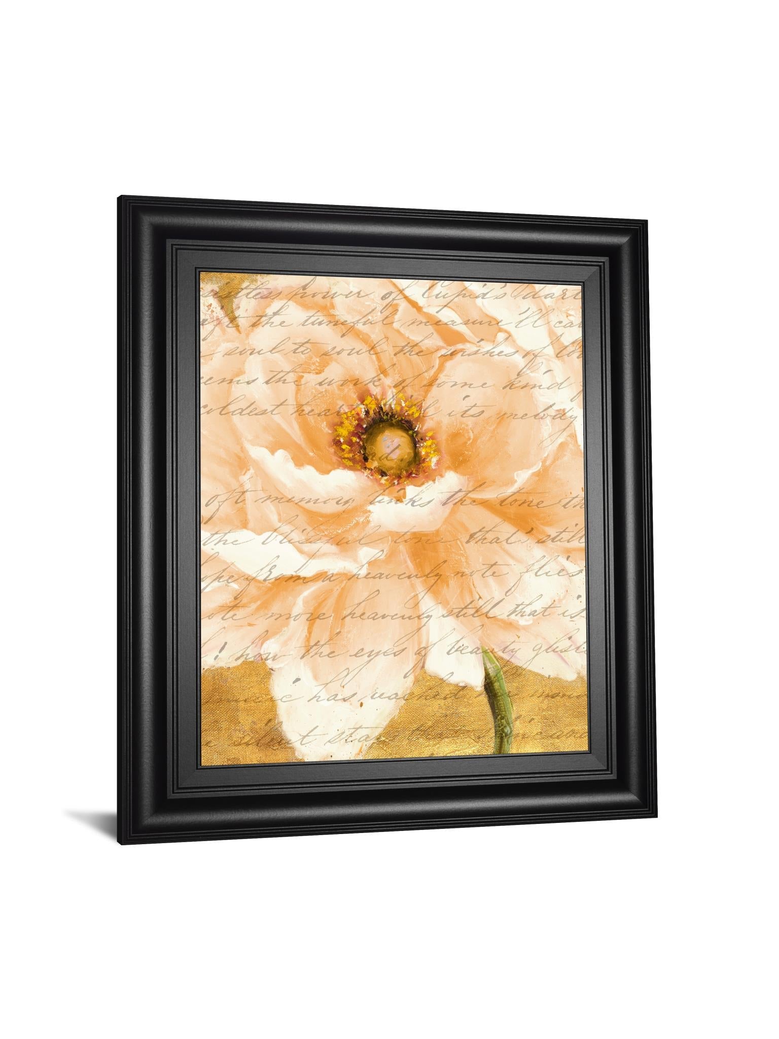 Beautiful Cream Peonies Script I By Patricia Pinto 22X26 Framed Print