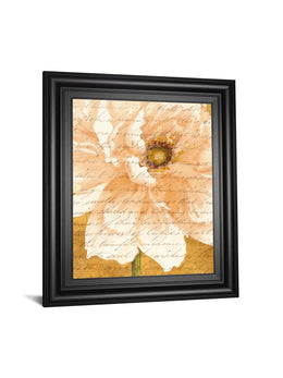 Beautiful Cream Peonies Script Ii By Patricia Pinto 22X26 Framed Print