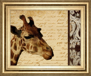 Madagascar Safari I By Patricia Pinto 22X26 Framed Print