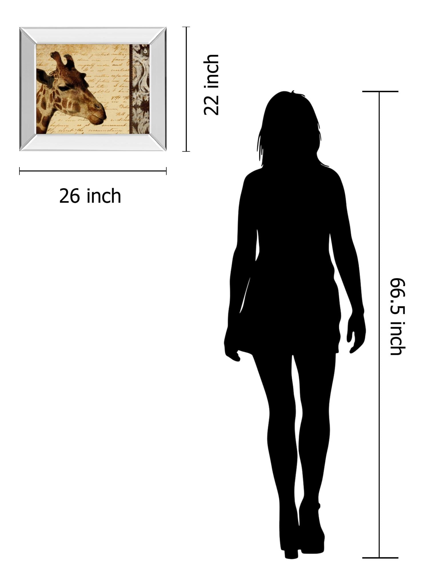 Mirrored Frame Madagascar Safari I By Patricia Pinto 22X26 Mirror Frame Print