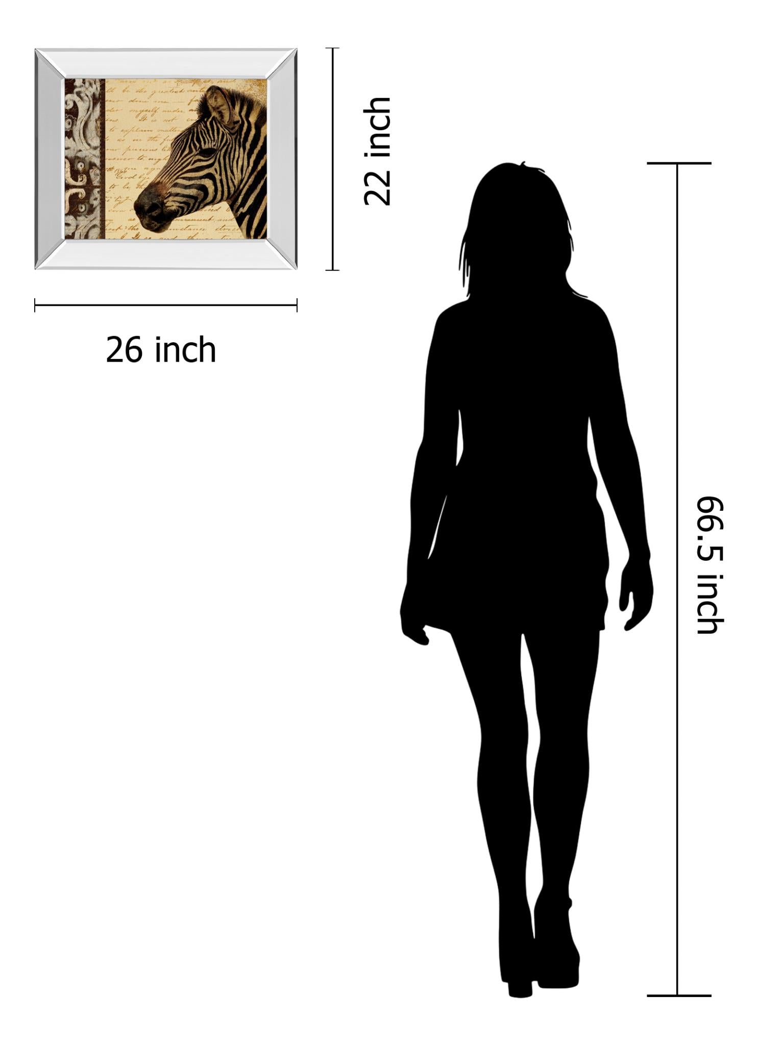 Mirrored Frame Madagasgar Safari Ii By Patricia Pinto 22X26 Mirror Frame Print