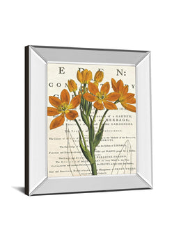 Mirrored Frame Eurphoria Botany By Sue Schlabach 22X26 Mirror Frame Print