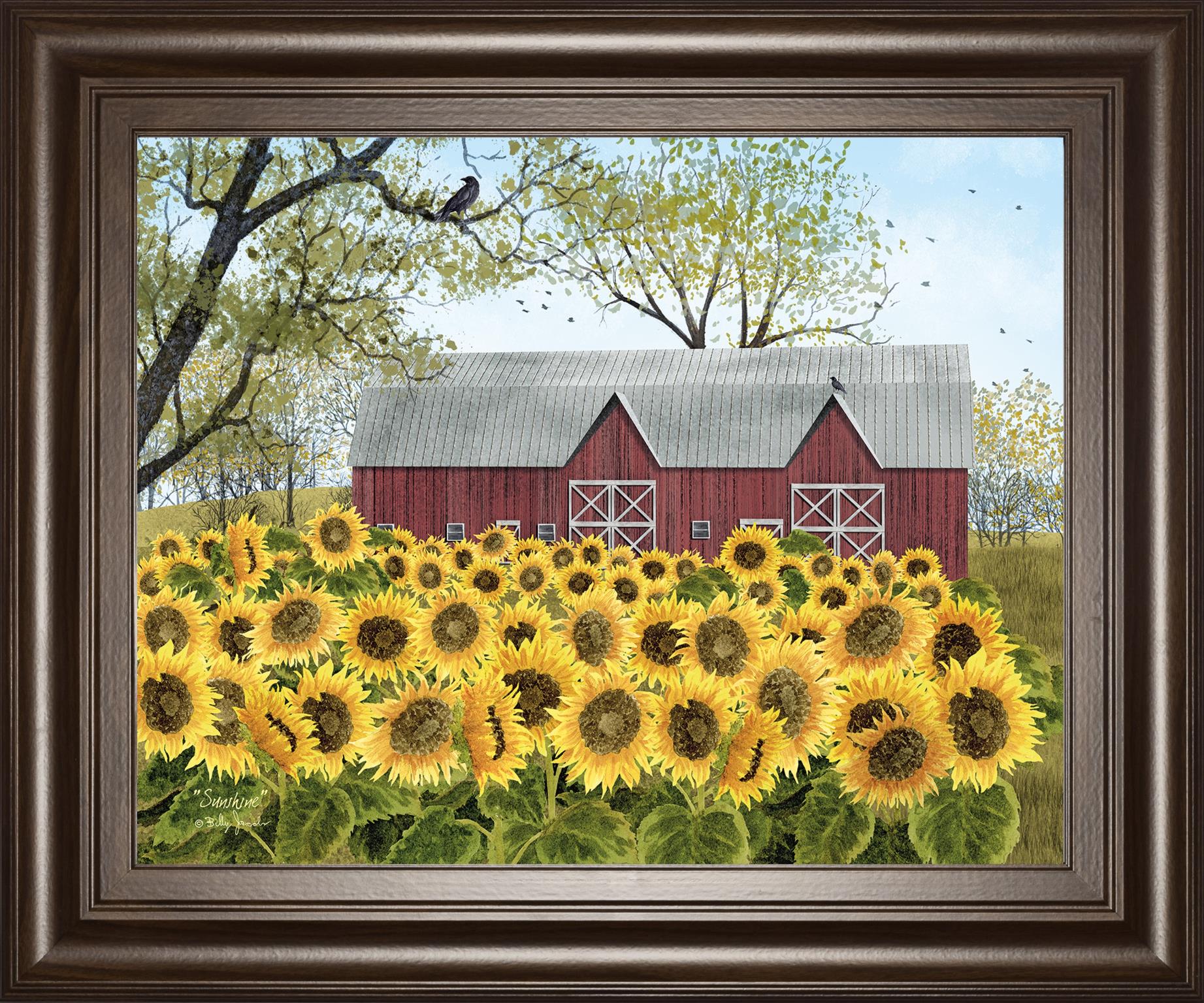 Sunshine By Billy Jacobs 22X26 Framed Print