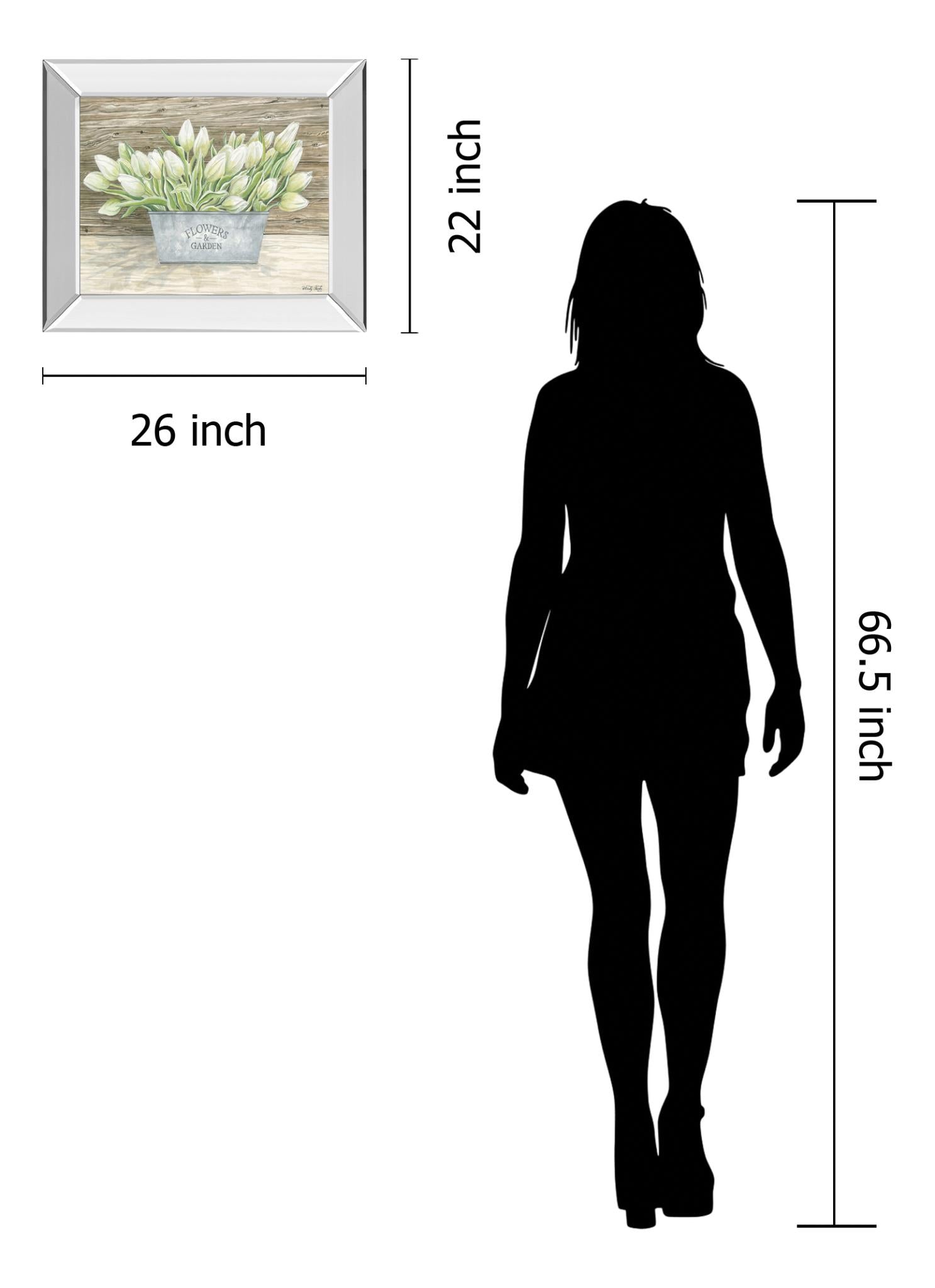 Mirrored Frame Flowers & Garden Tulips By Cindy Jacobs 22X26 Mirror Frame Print