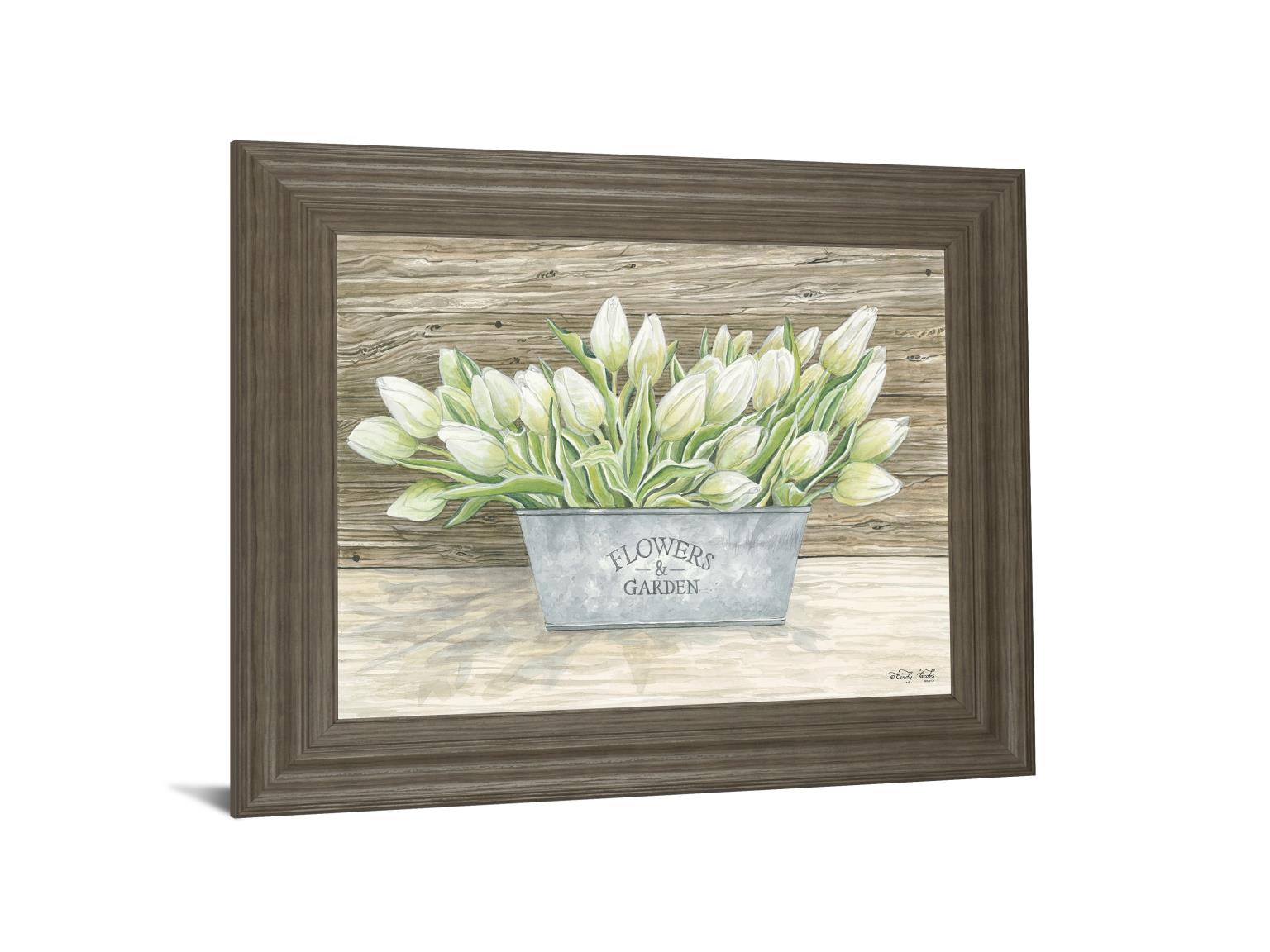 Flowers & Garden Tulips By Cindy Jacobs 22X26 Framed Print