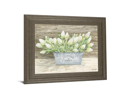 Flowers & Garden Tulips By Cindy Jacobs 22X26 Framed Print