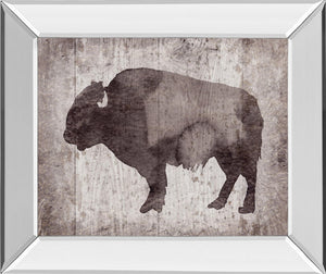 Mirrored Frame Wildness Ii-Timber By Sandra Jacobs 22X26 Mirror Frame Print
