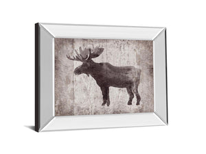 Mirrored Frame Wildnessiv-Timber By Sandra Jacobs 22X26 Mirror Frame Print